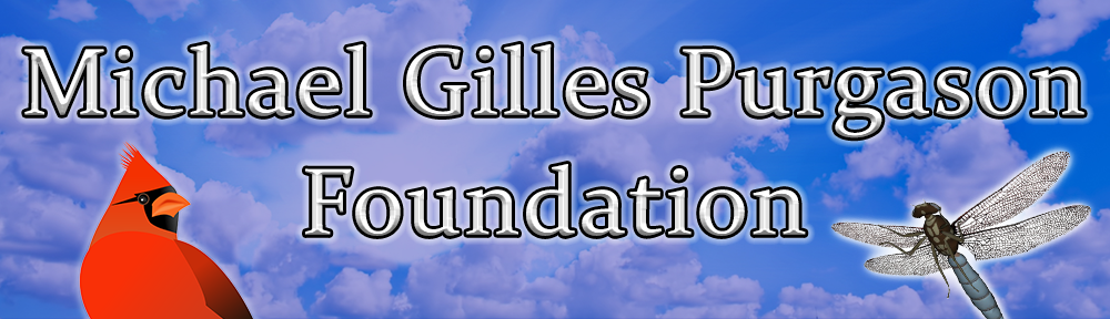 Michael Gilles Purgason Foundation